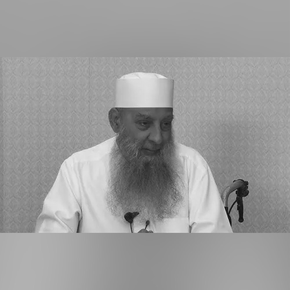 Porno, katta boling xonimlar